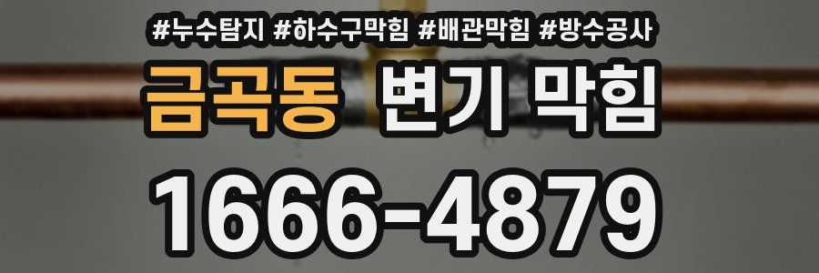 금곡동 변기 막힘