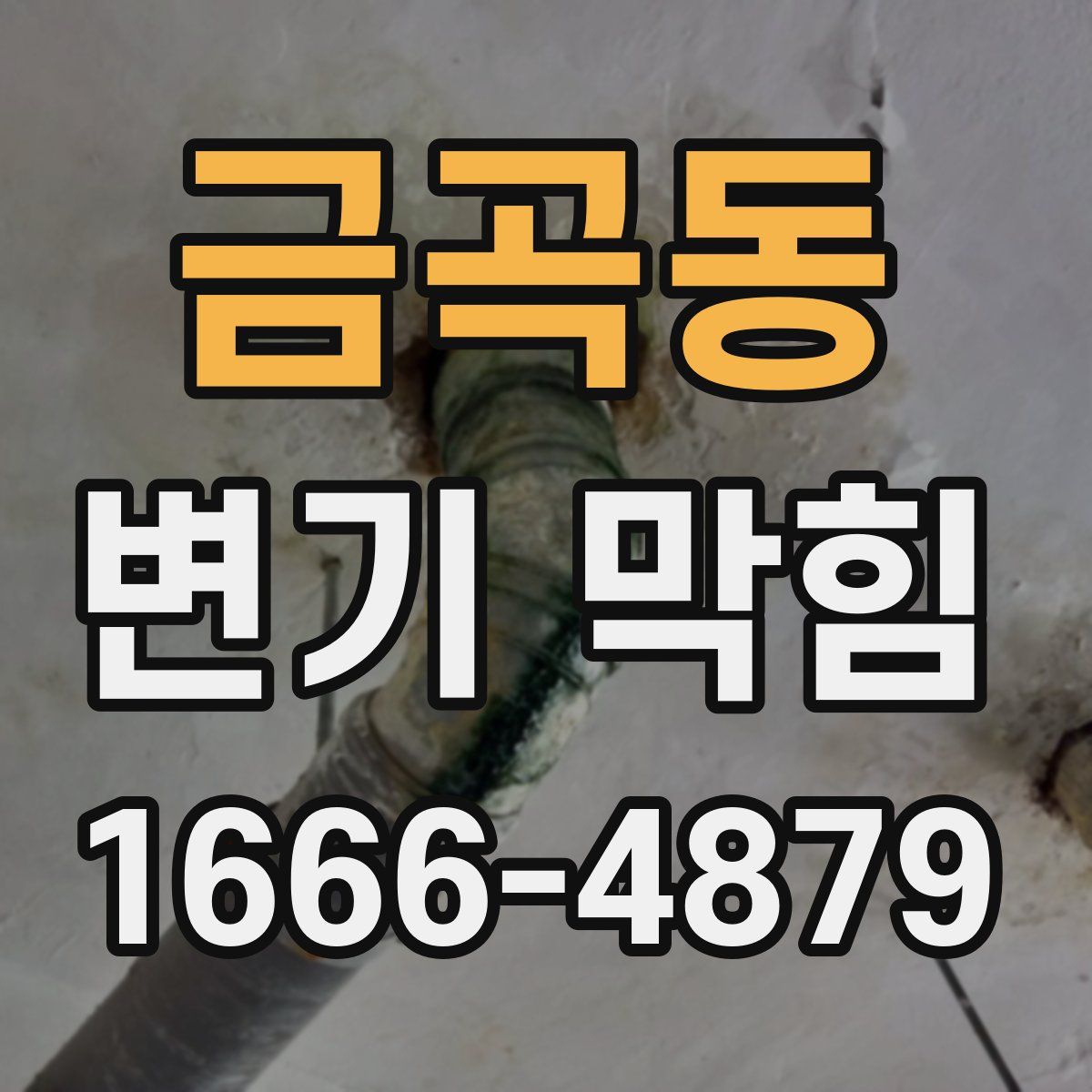 금곡동 변기 막힘