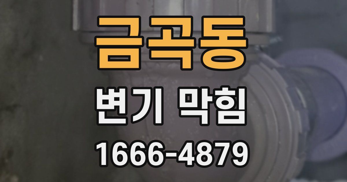 금곡동 변기 막힘