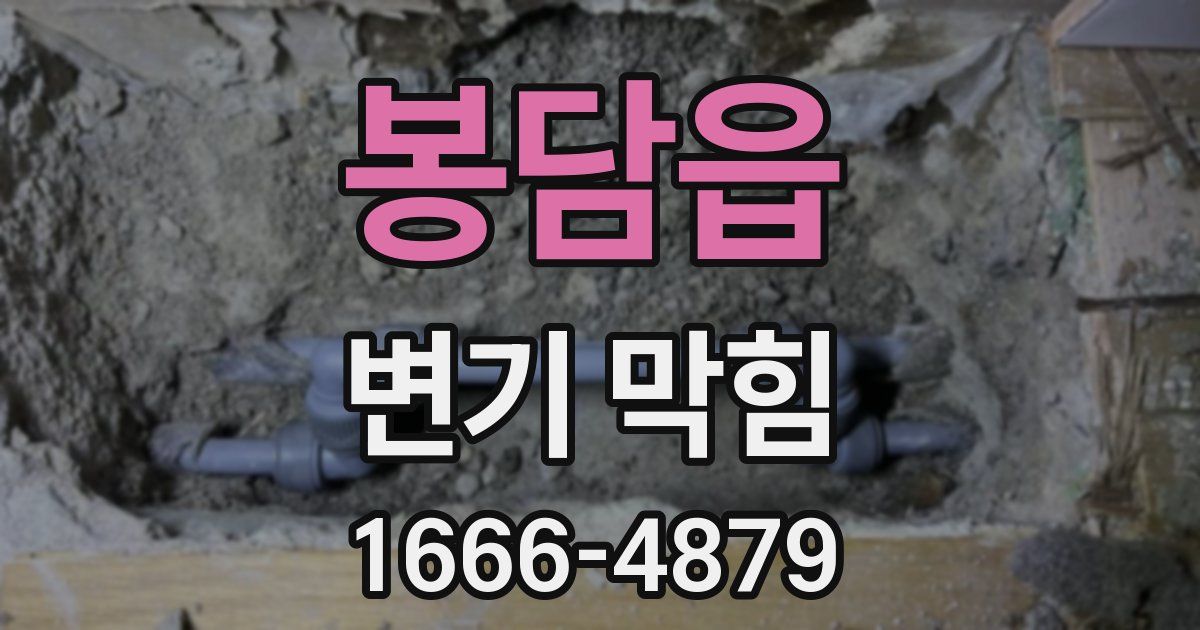 봉담읍 변기 막힘