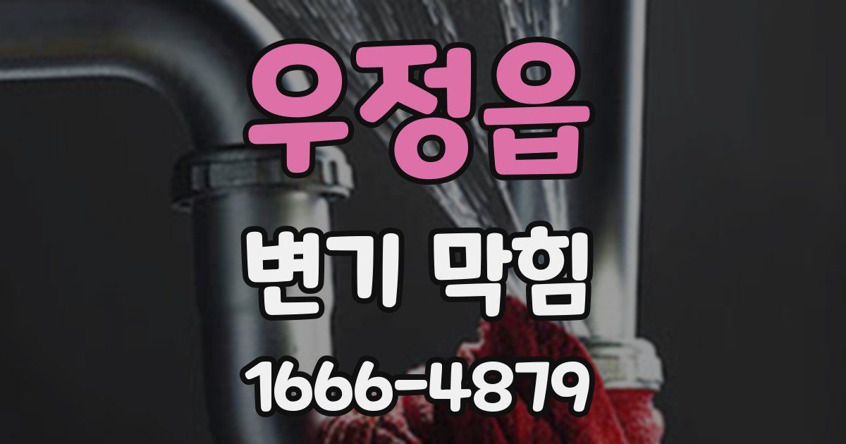 우정읍 변기 막힘
