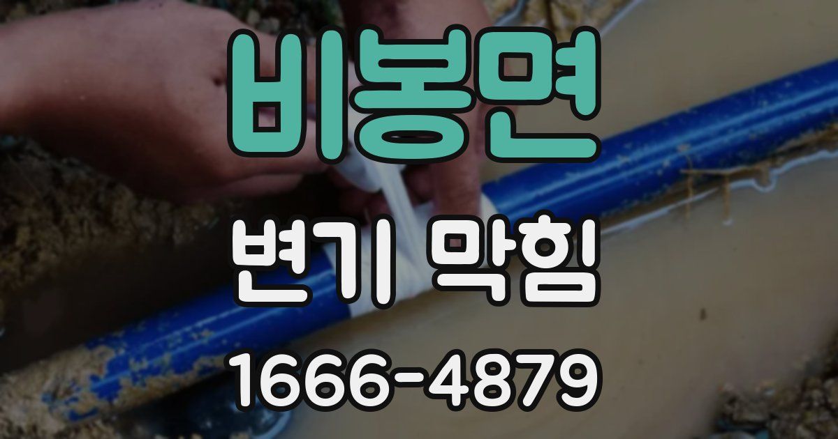 비봉면 변기 막힘