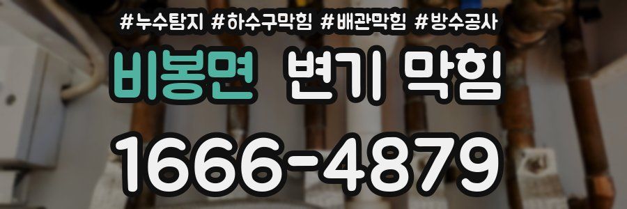 비봉면 변기 막힘