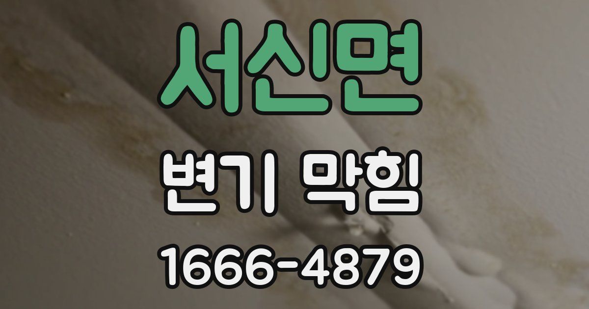 서신면 변기 막힘