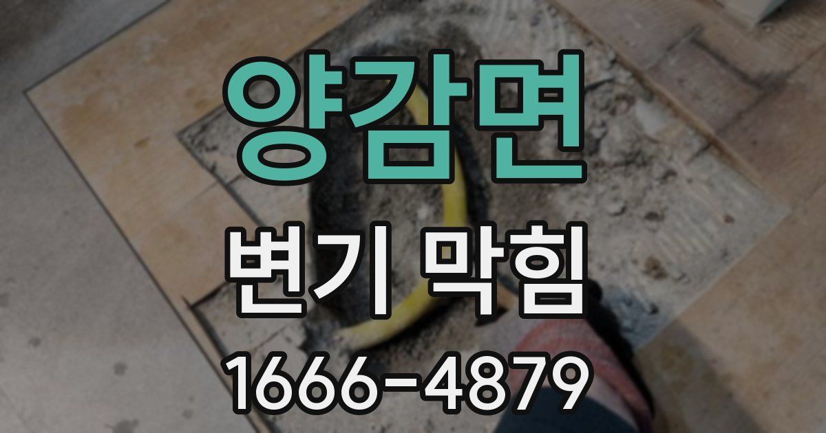 양감면 변기 막힘