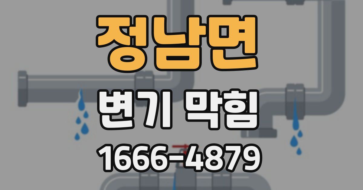정남면 변기 막힘