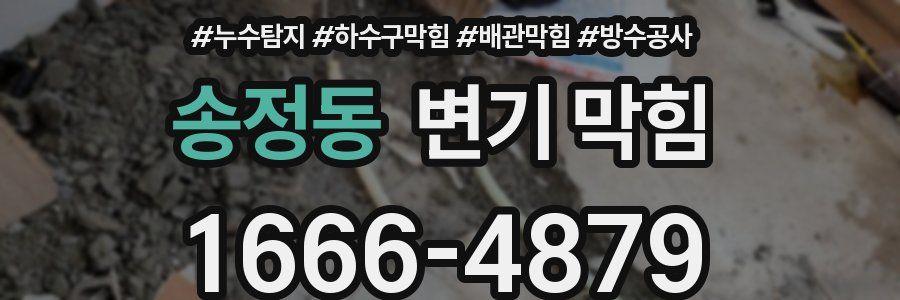 송정동 변기 막힘