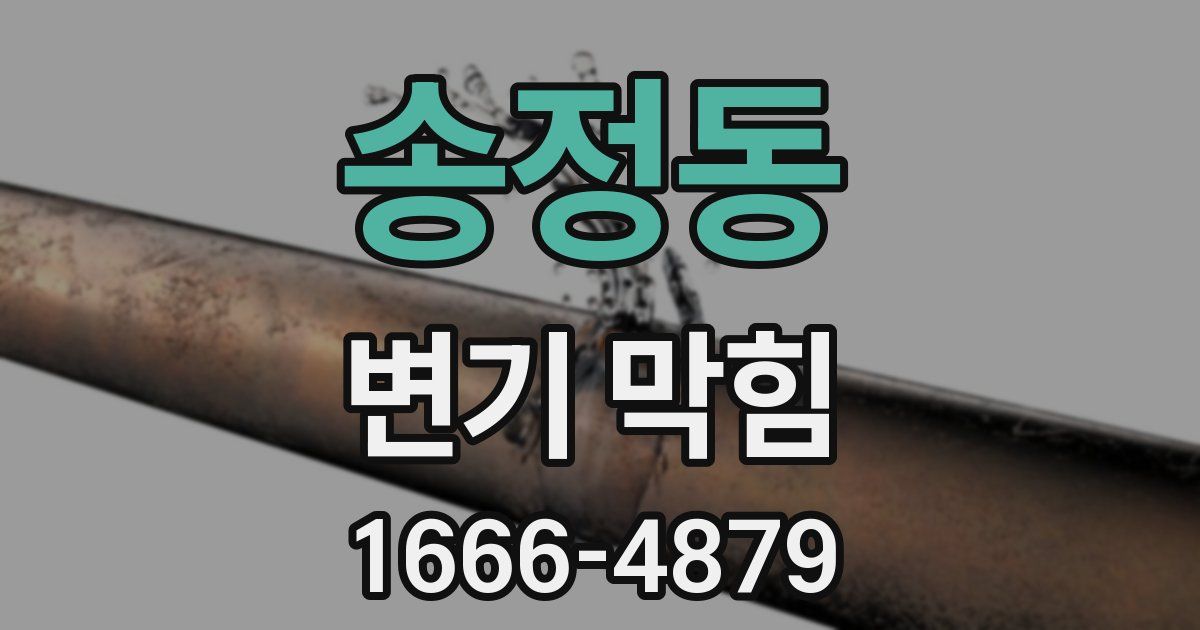 송정동 변기 막힘