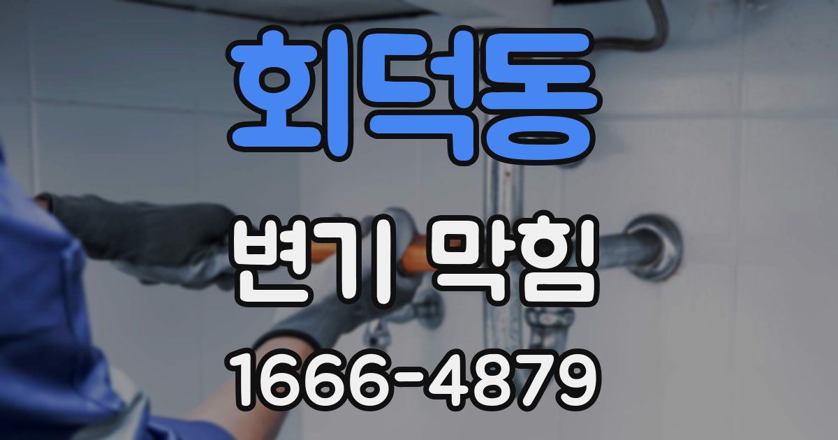 회덕동 변기 막힘
