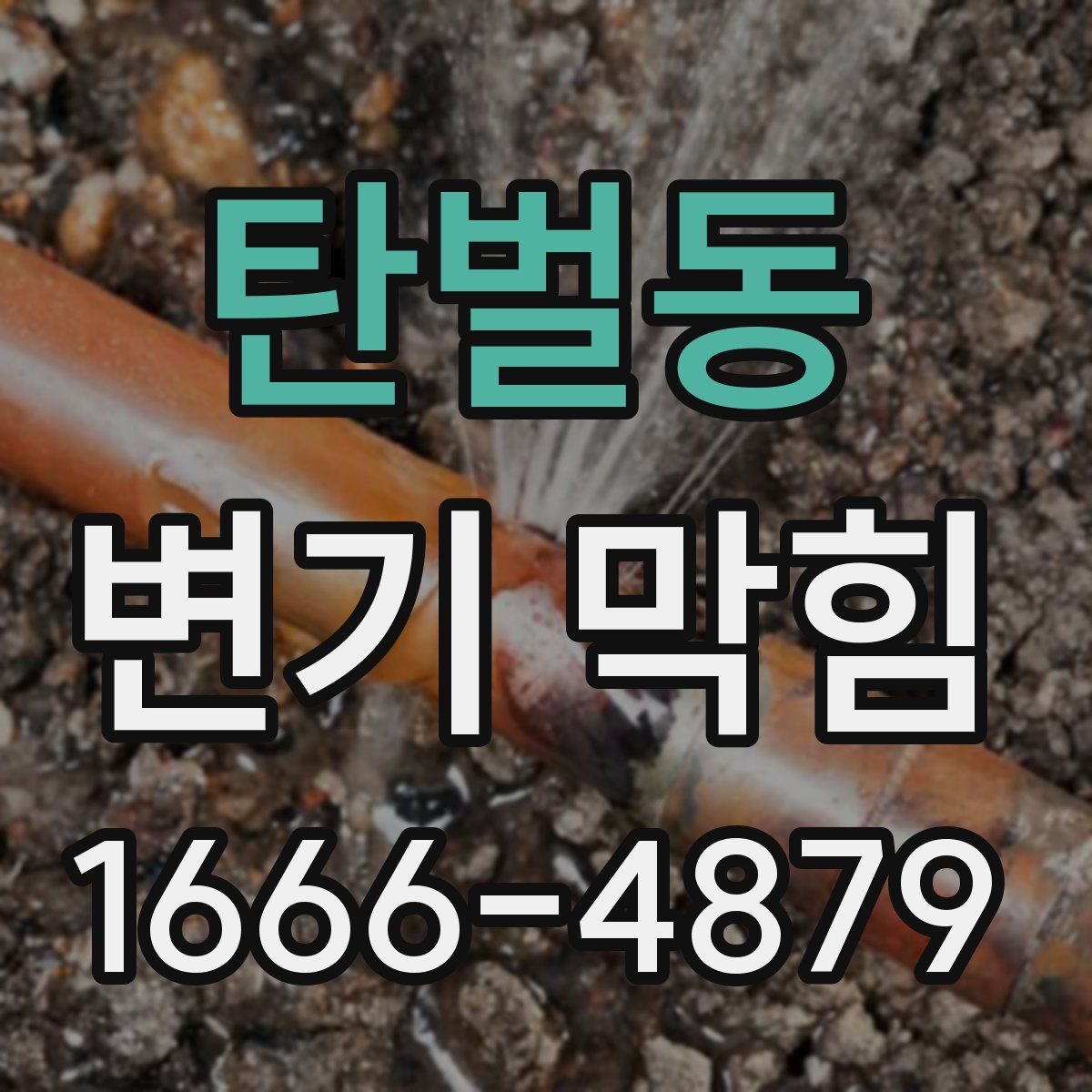 탄벌동 변기 막힘