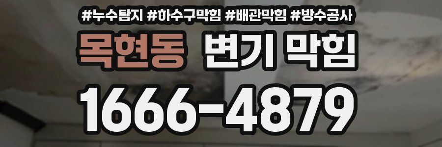 목현동 변기 막힘