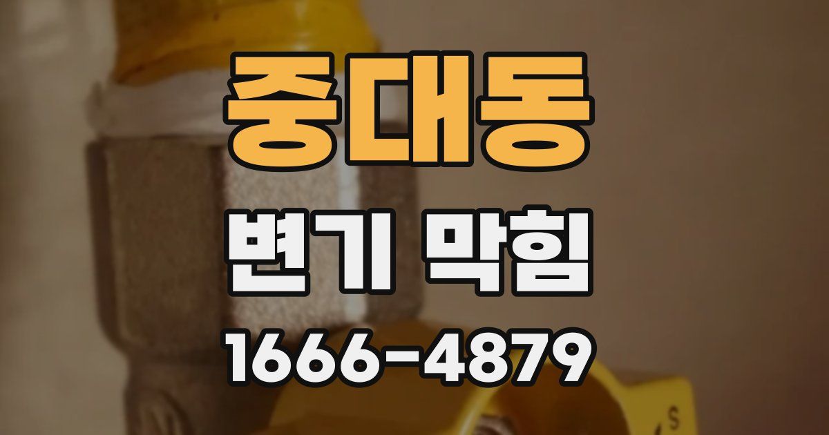 중대동 변기 막힘