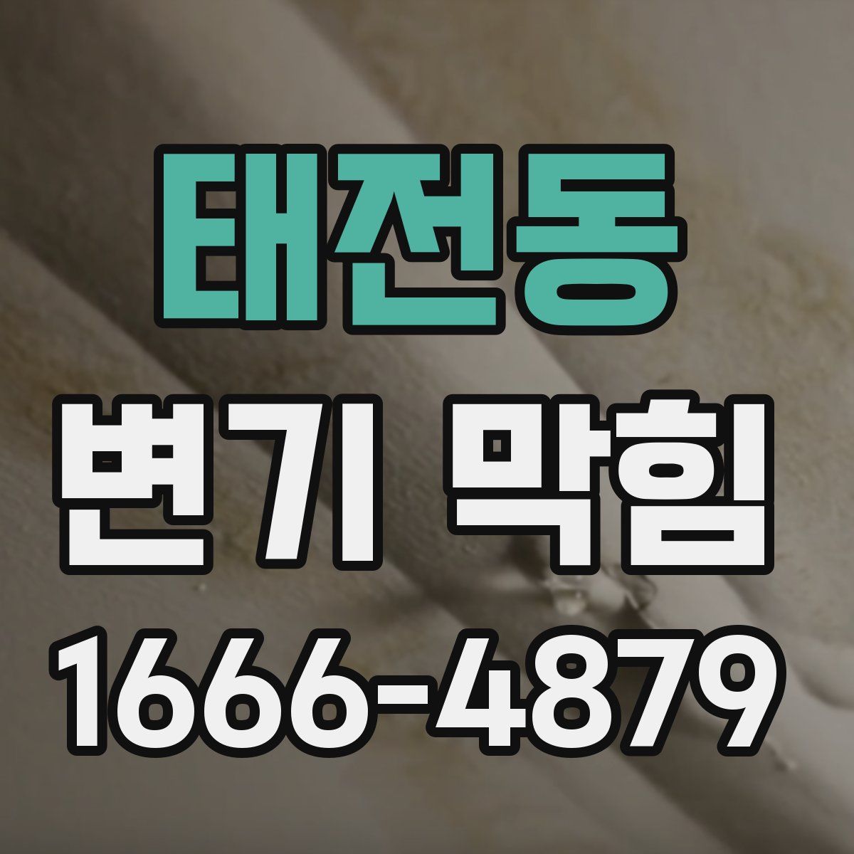 태전동 변기 막힘