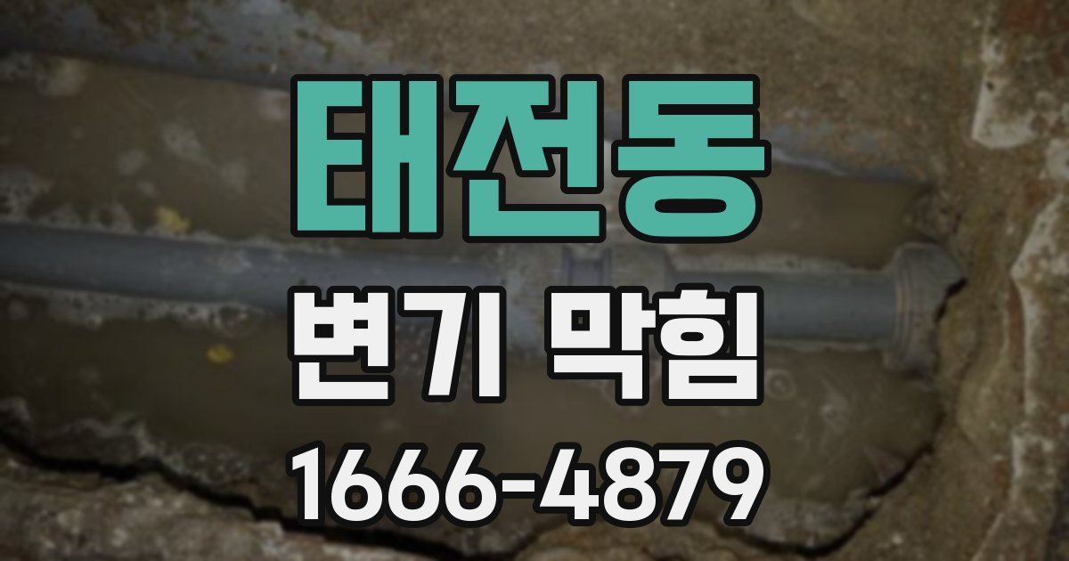 태전동 변기 막힘