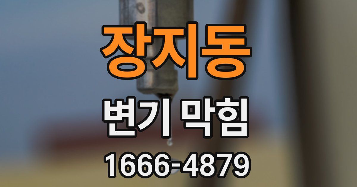 장지동 변기 막힘