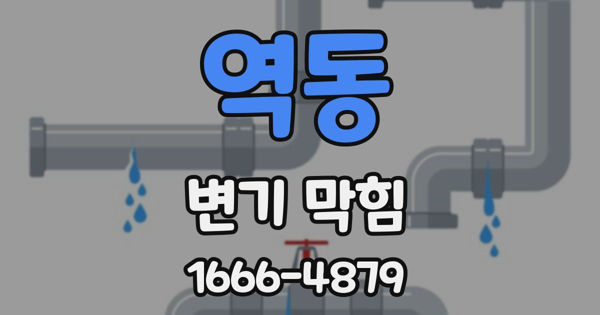역동 변기 막힘