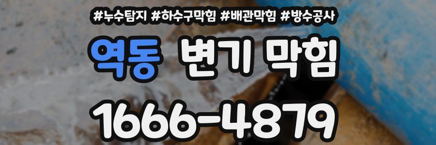 역동 변기 막힘