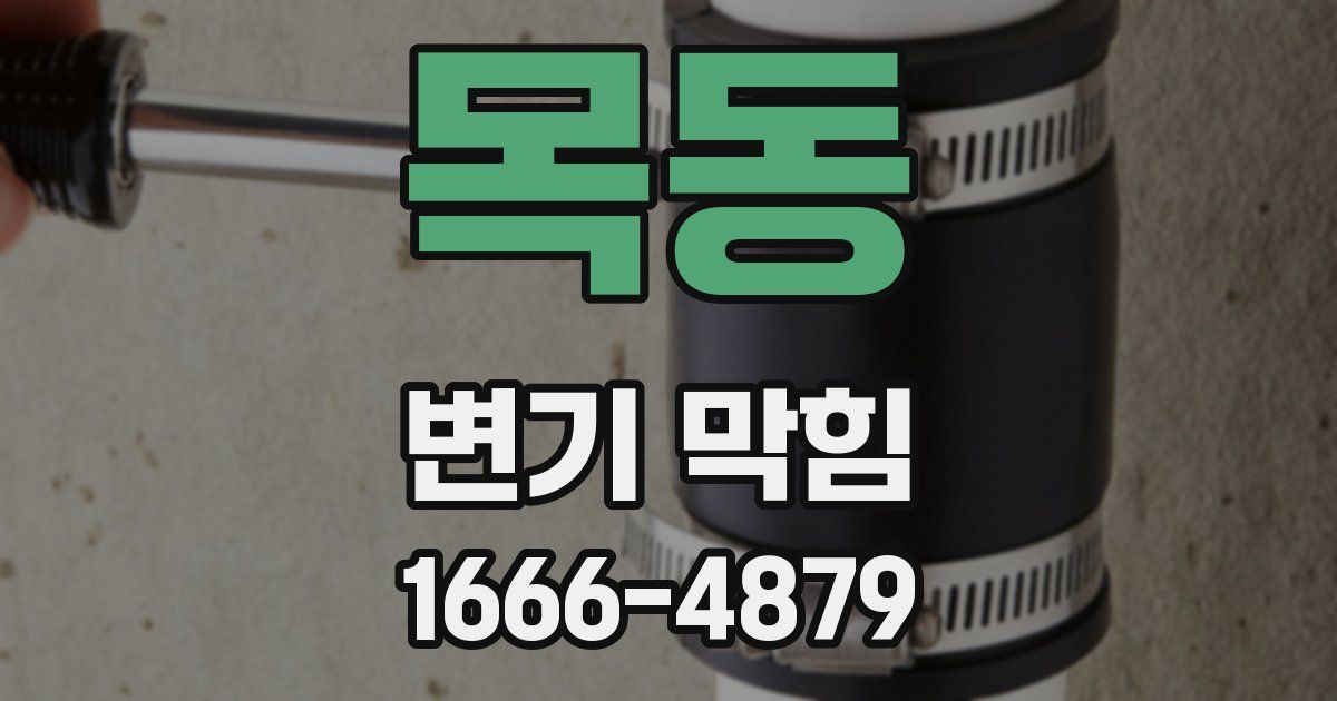 목동 변기 막힘