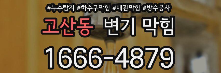 고산동 변기 막힘