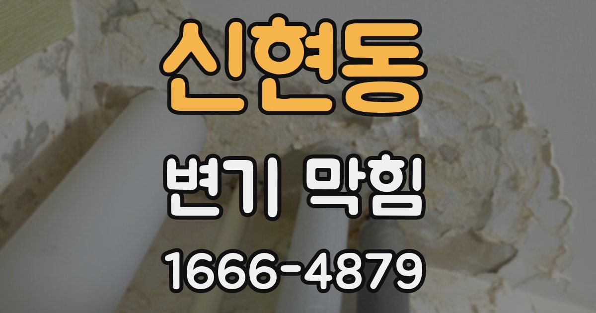 신현동 변기 막힘