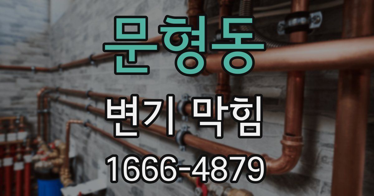 문형동 변기 막힘