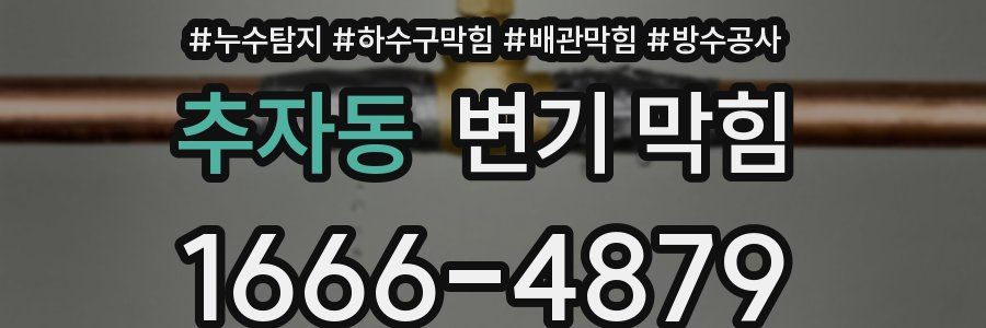 추자동 변기 막힘