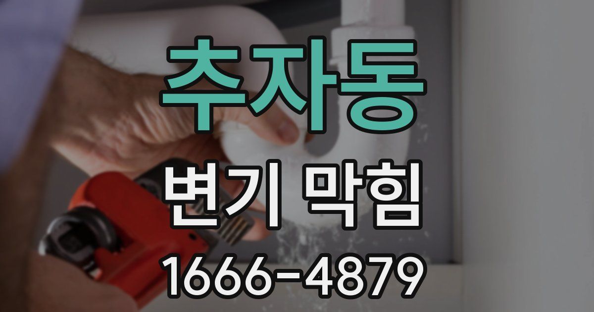 추자동 변기 막힘