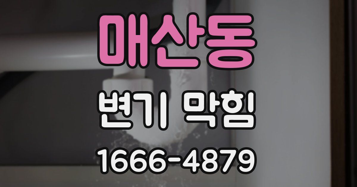 매산동 변기 막힘