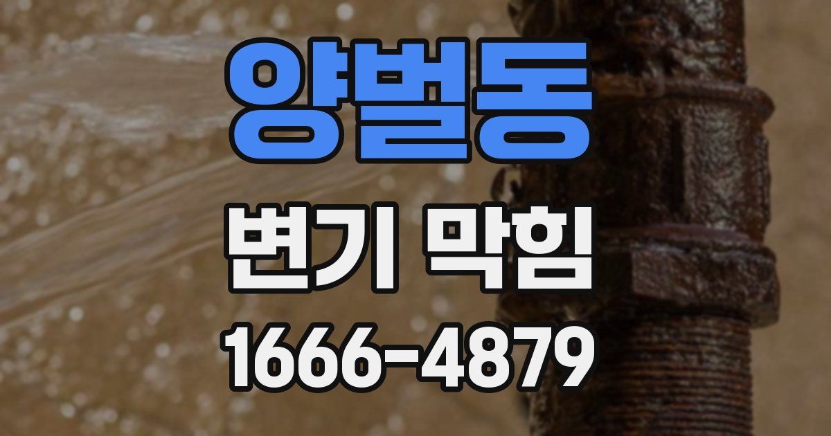 양벌동 변기 막힘