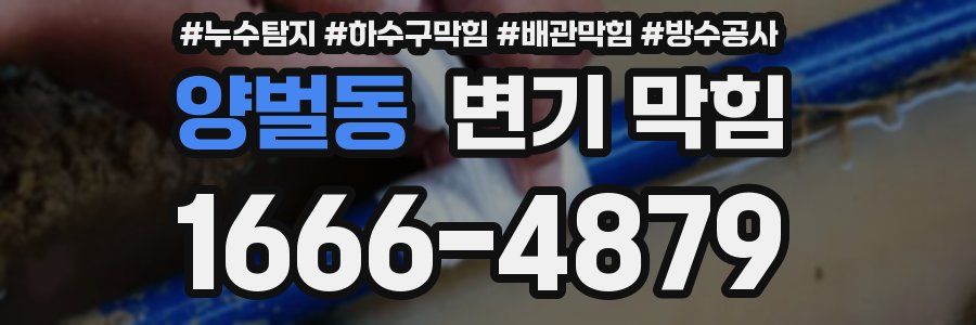 양벌동 변기 막힘