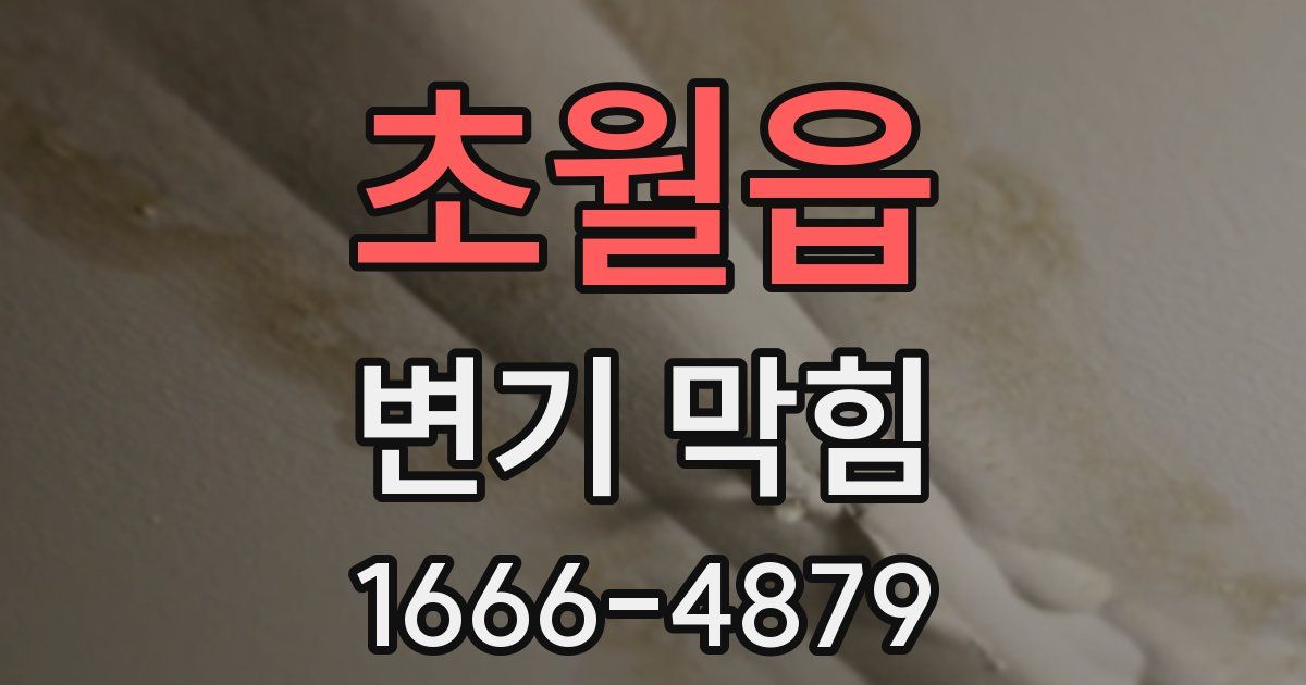 초월읍 변기 막힘