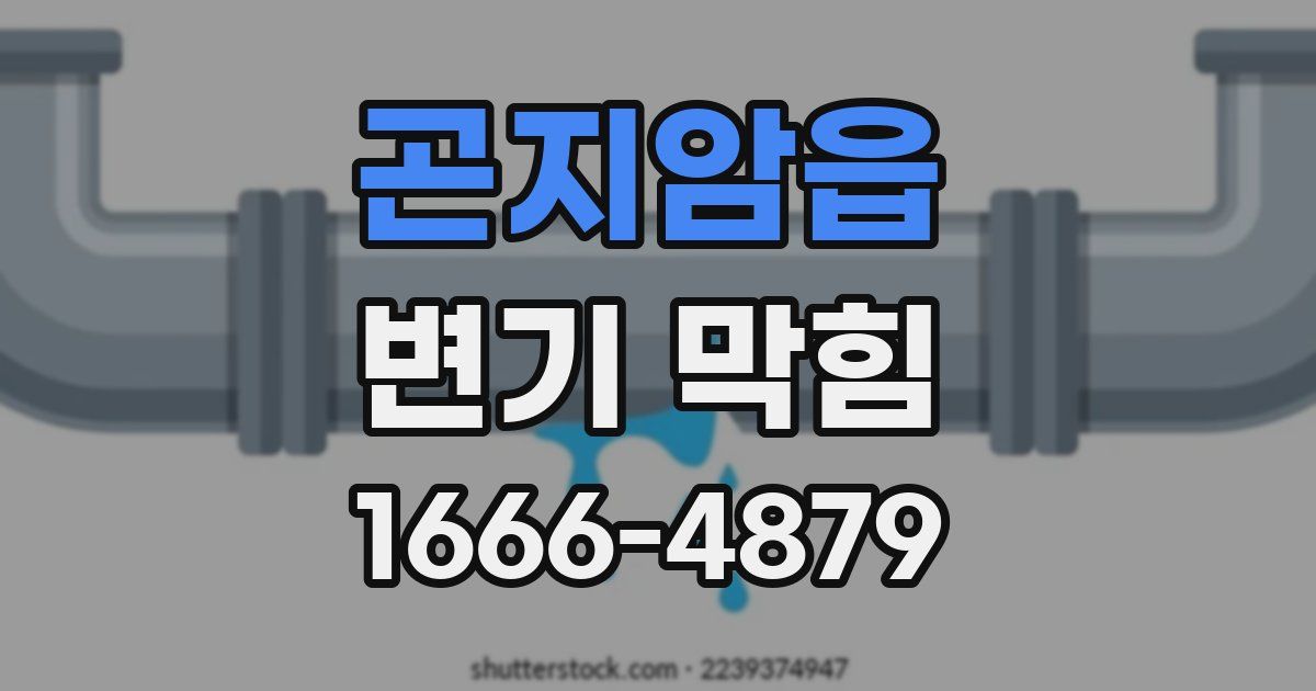 곤지암읍 변기 막힘