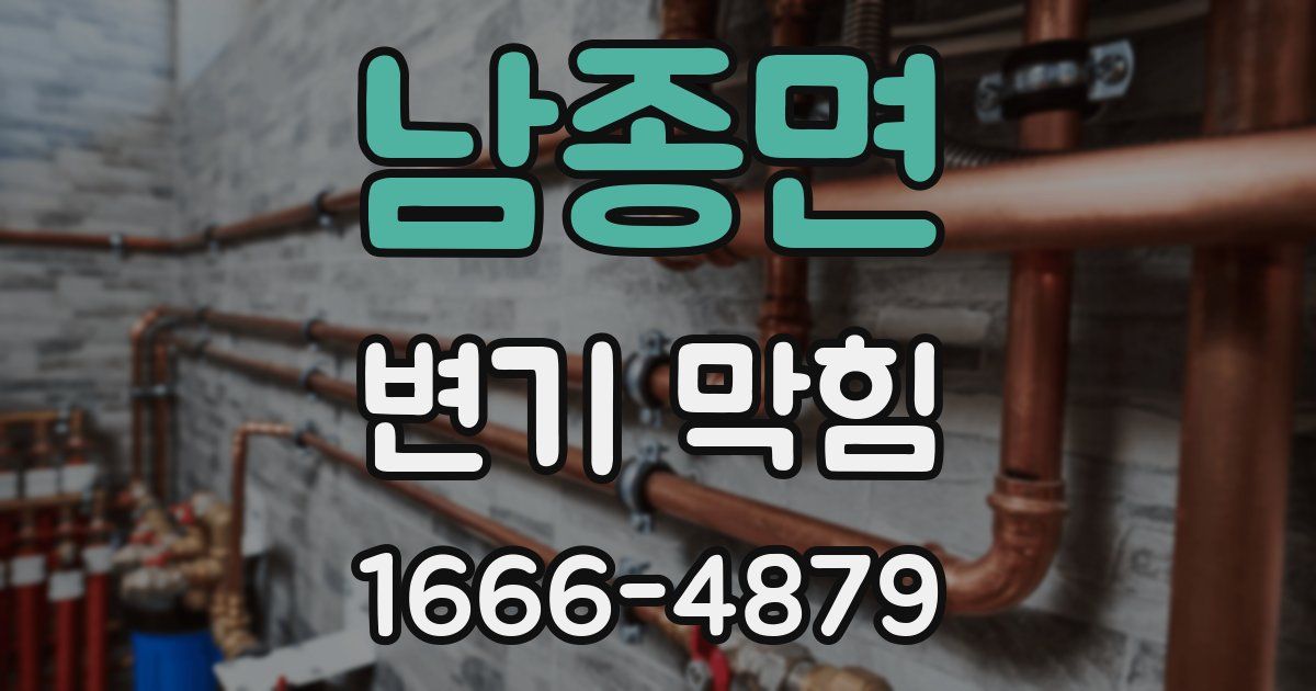 남종면 변기 막힘