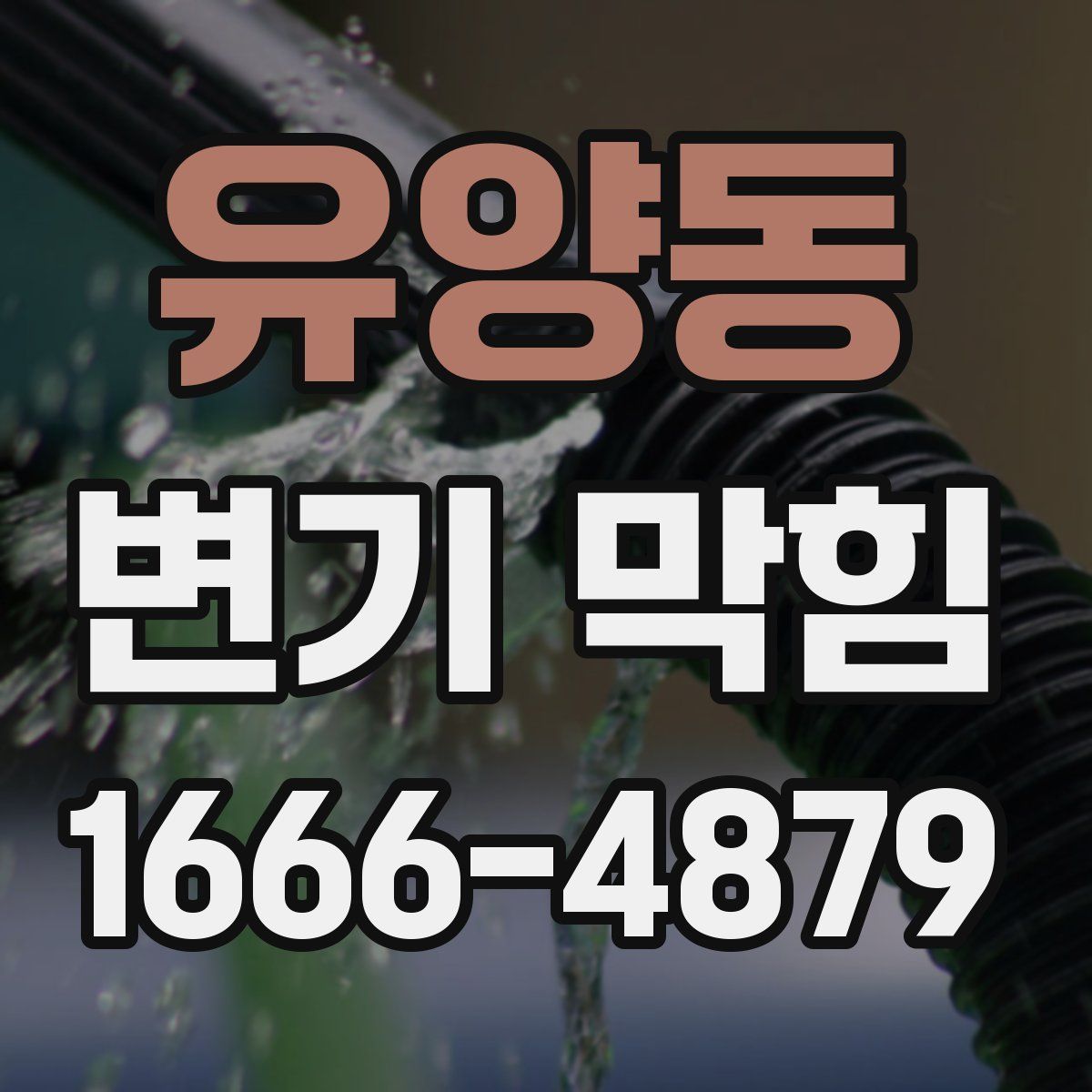 유양동 변기 막힘