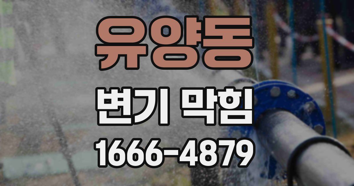 유양동 변기 막힘