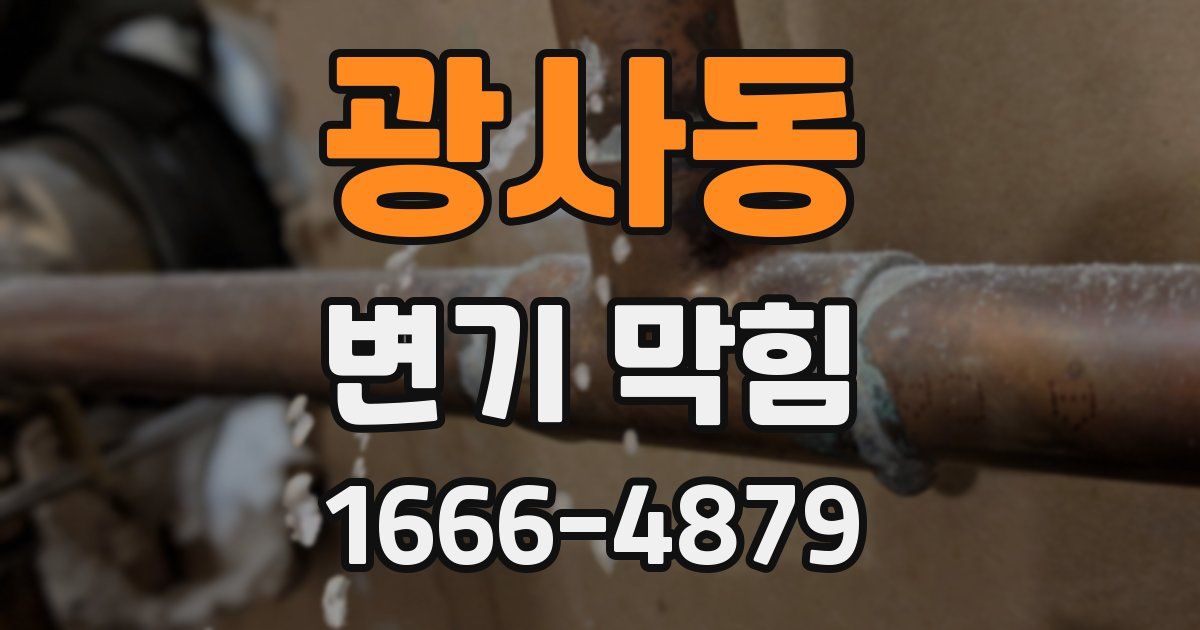 광사동 변기 막힘