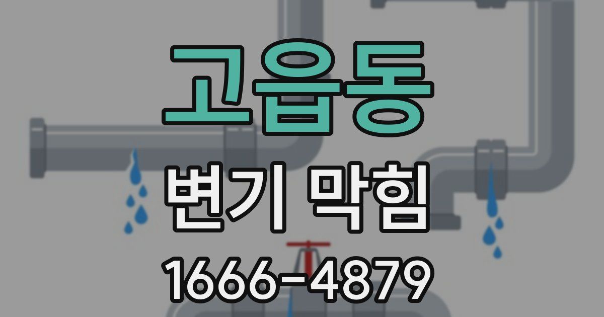 고읍동 변기 막힘