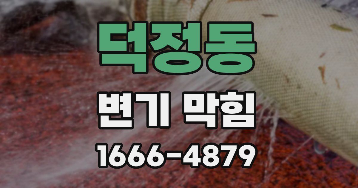 덕정동 변기 막힘