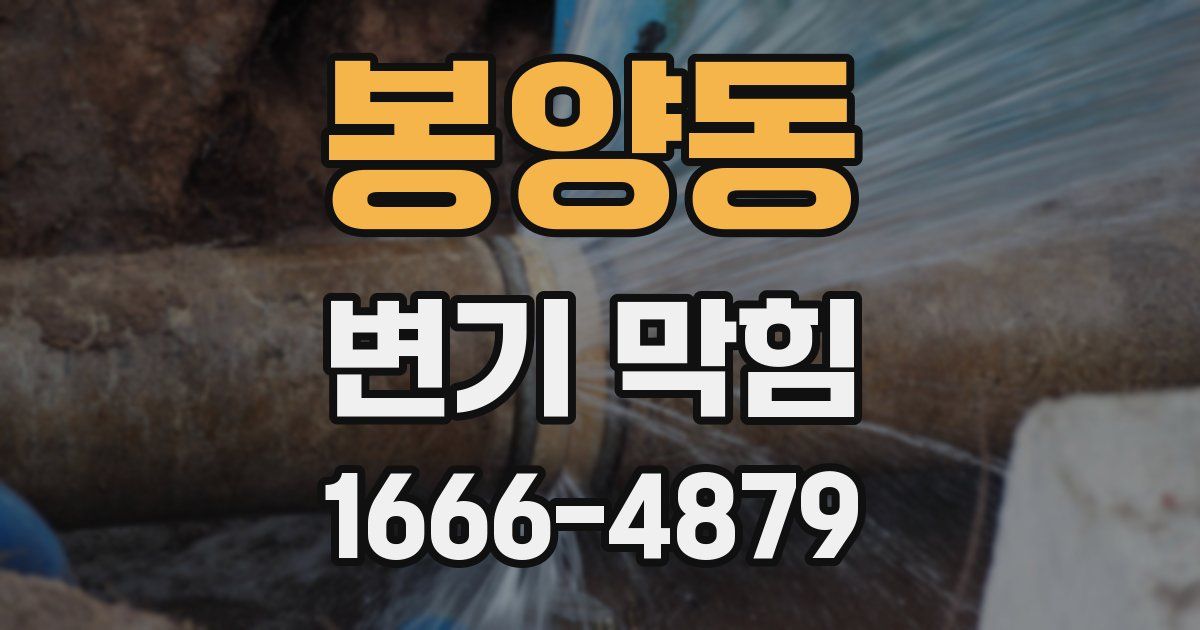 봉양동 변기 막힘