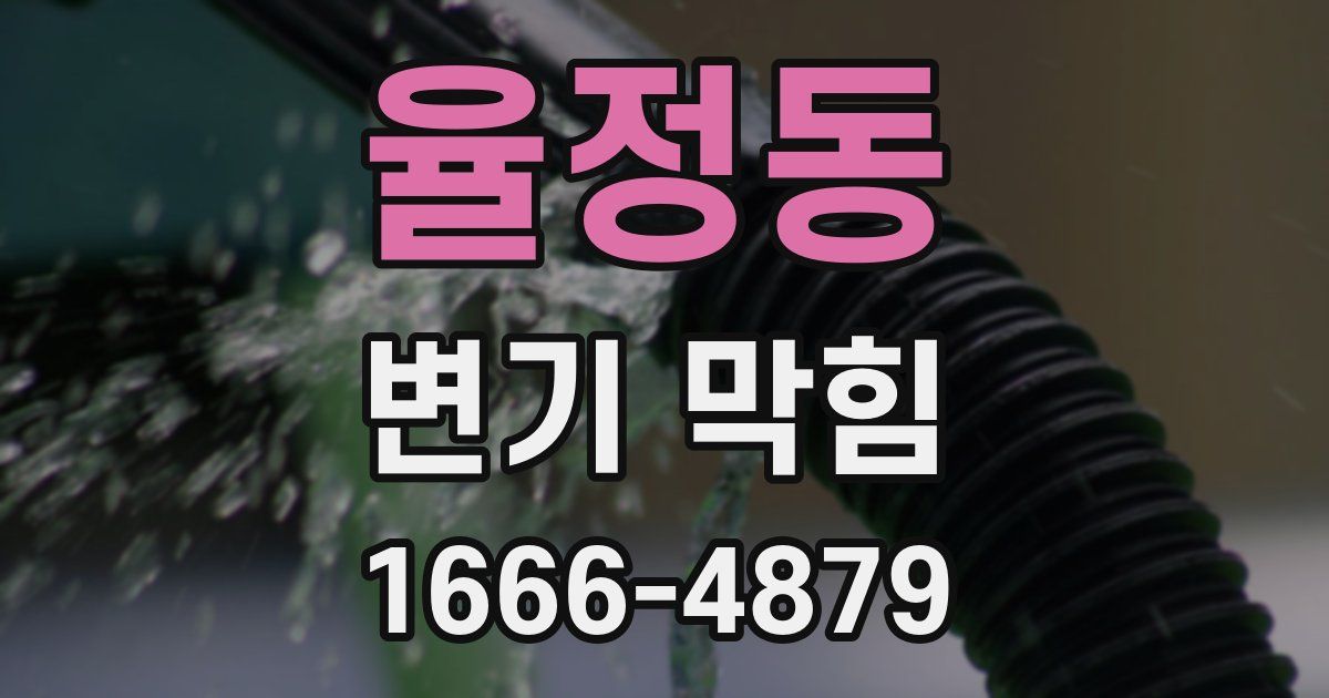 율정동 변기 막힘