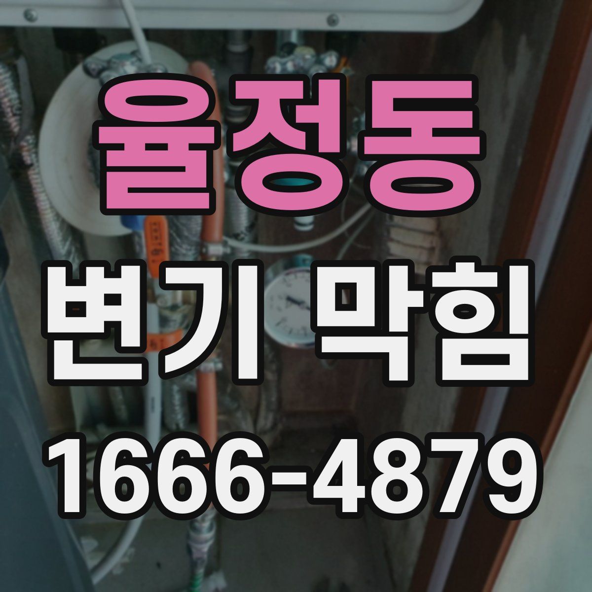 율정동 변기 막힘