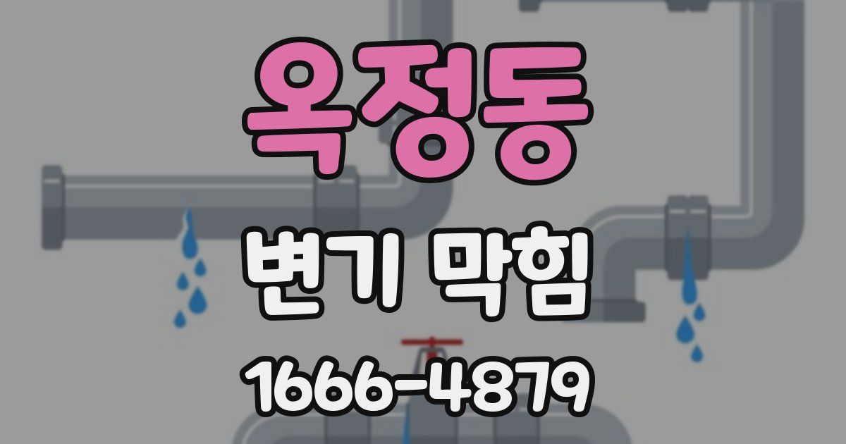 옥정동 변기 막힘