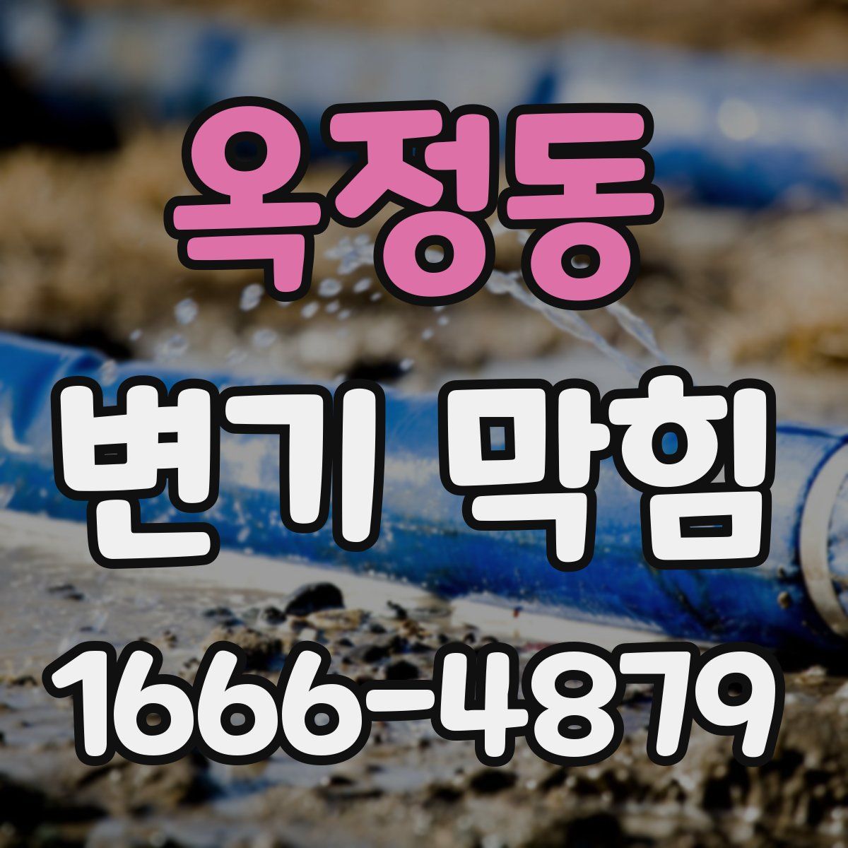 옥정동 변기 막힘