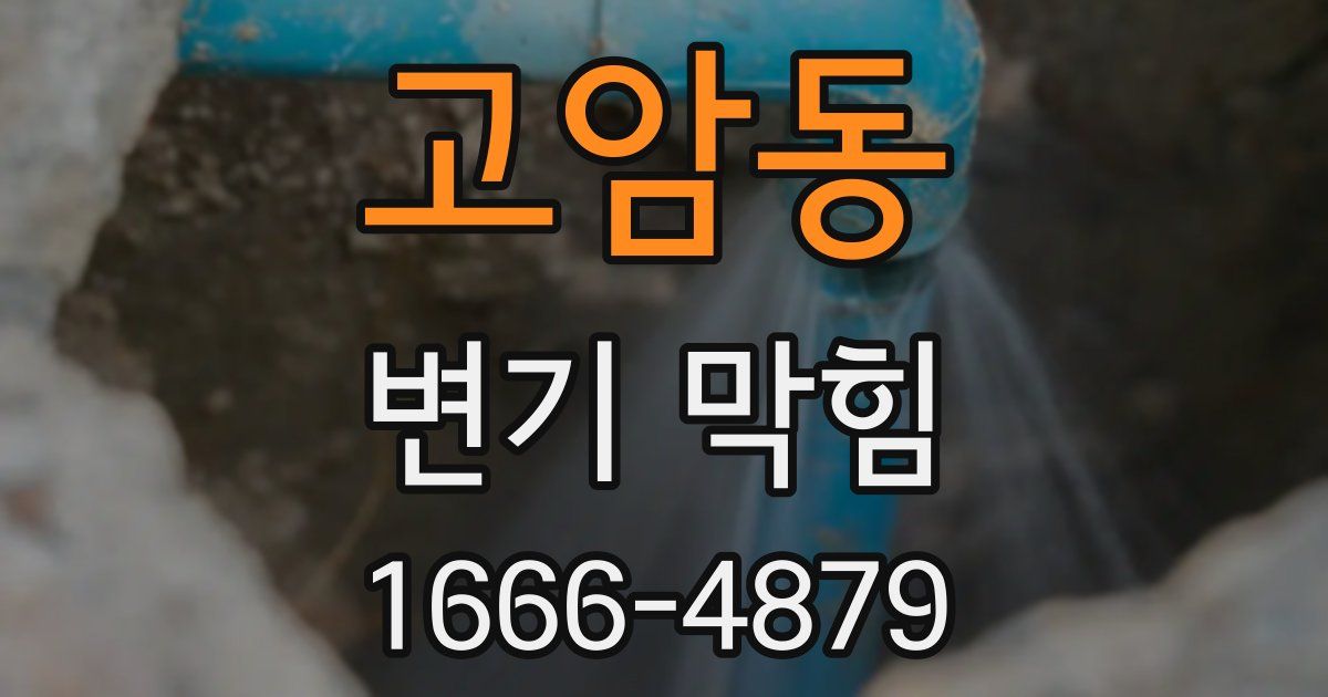 고암동 변기 막힘