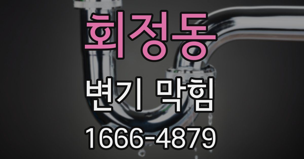 회정동 변기 막힘