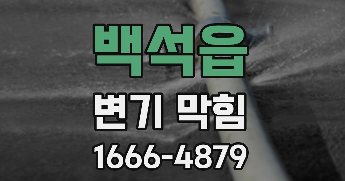 백석읍 변기 막힘
