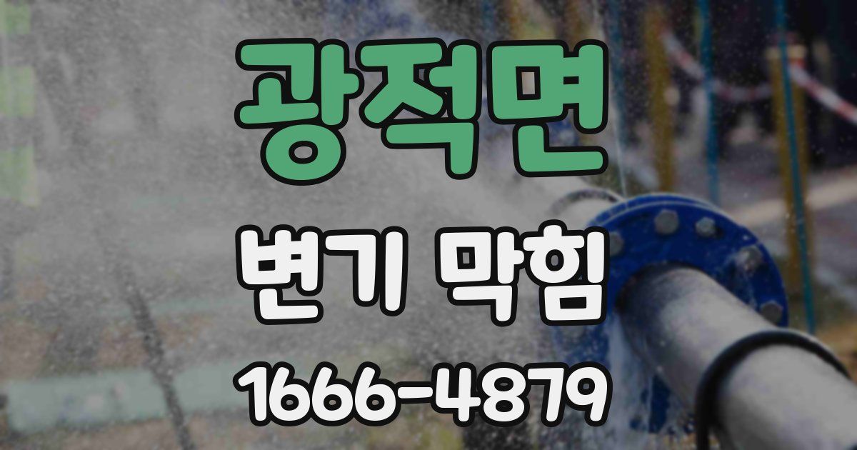 광적면 변기 막힘