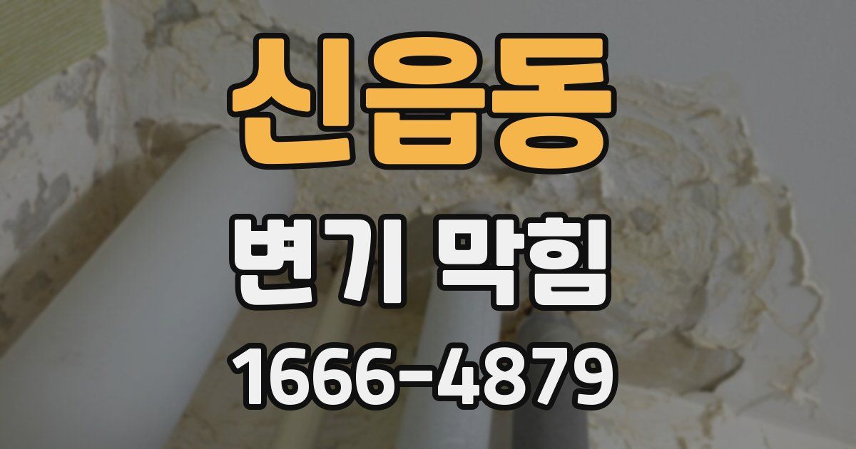 신읍동 변기 막힘