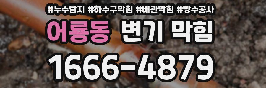 어룡동 변기 막힘