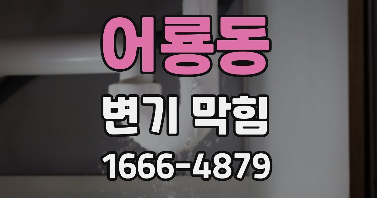 어룡동 변기 막힘